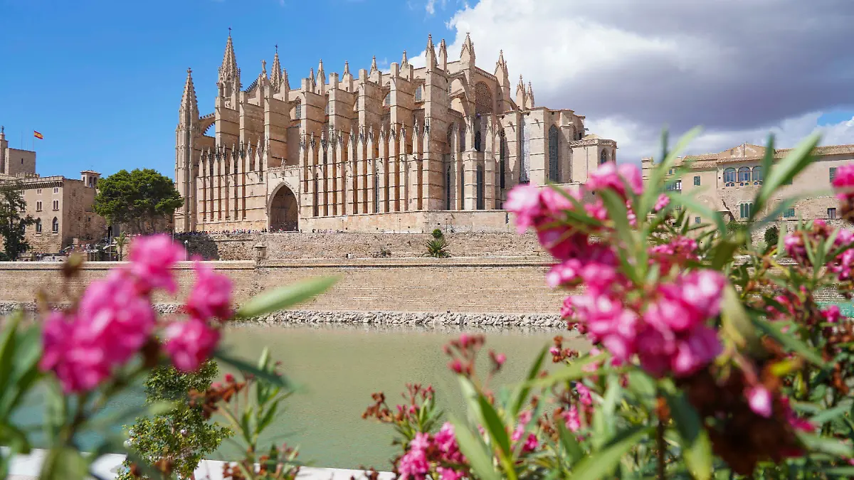 Wer im August nach Mallorca möchte, der muss tief in die Tasche greifen.