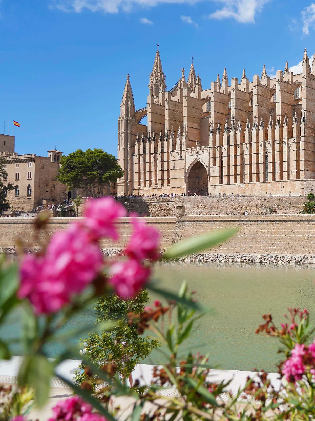 Wer im August nach Mallorca möchte, der muss tief in die Tasche greifen.