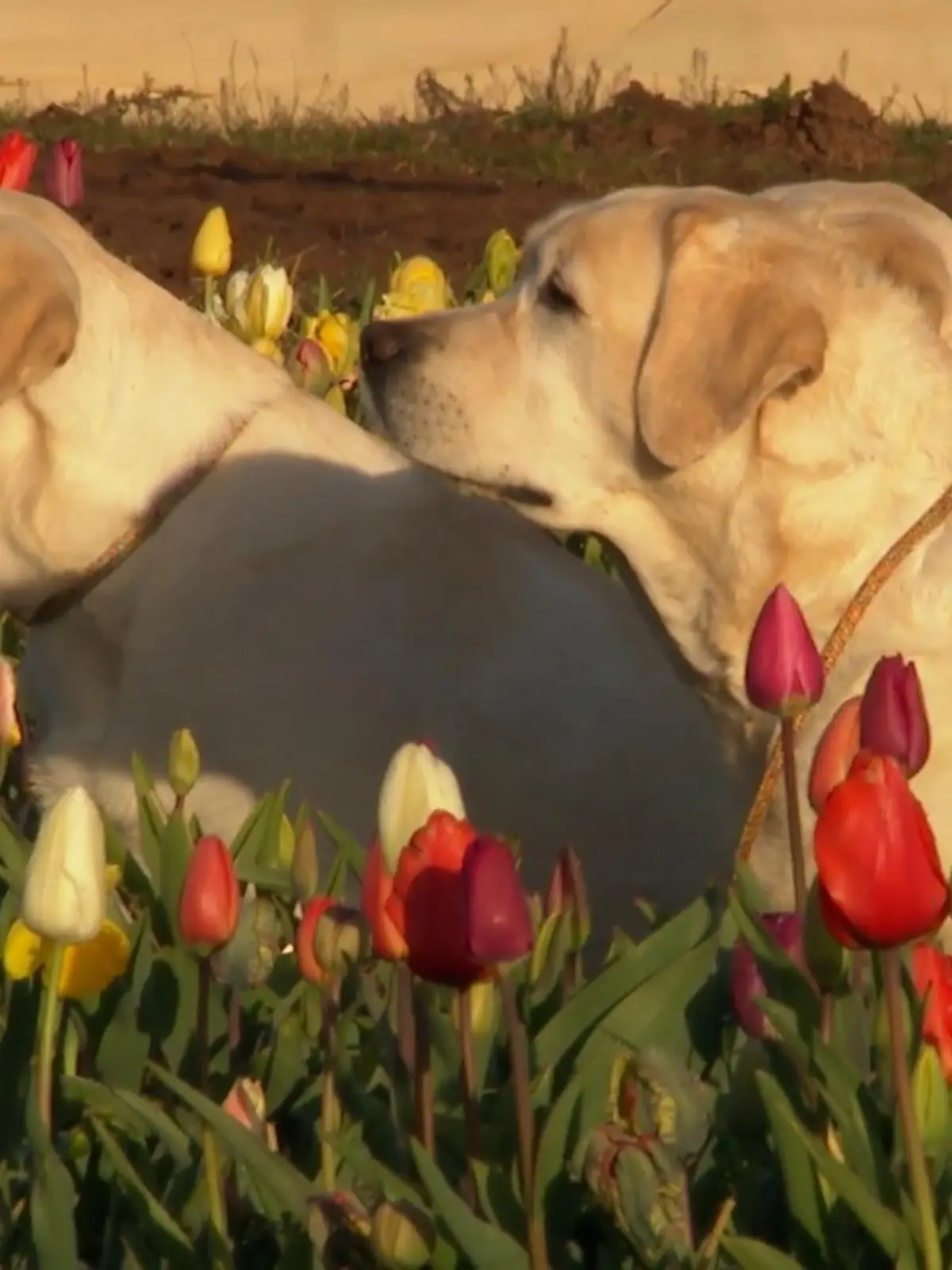 Bild zu: "Private Fotoslots für perfekte Aufnahmen"