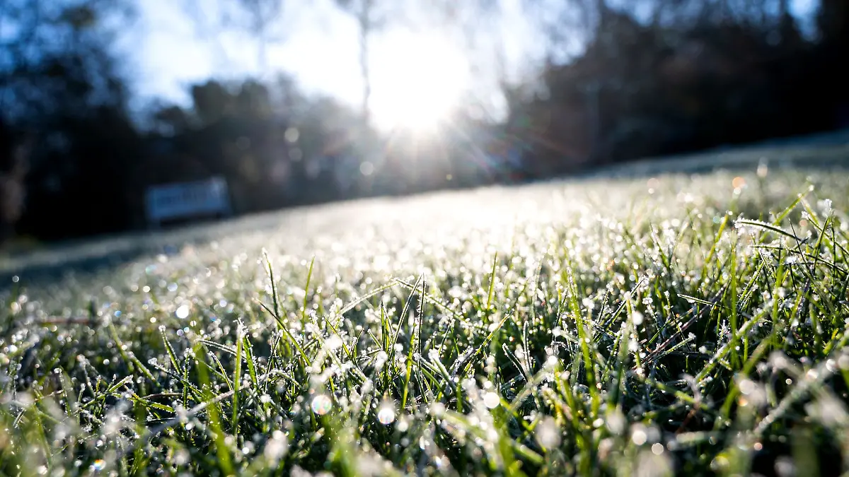 Tagsüber ist es mild, nachts kühlt es jedoch noch ziemlich ab. (Symbolbild)
