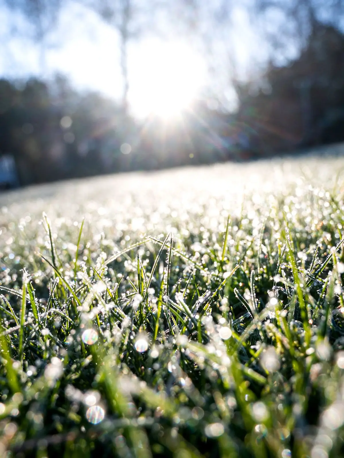 Bild zu: "Sonnenschein bei der Eiersuche?! So wird das Wetter an Ostern"
