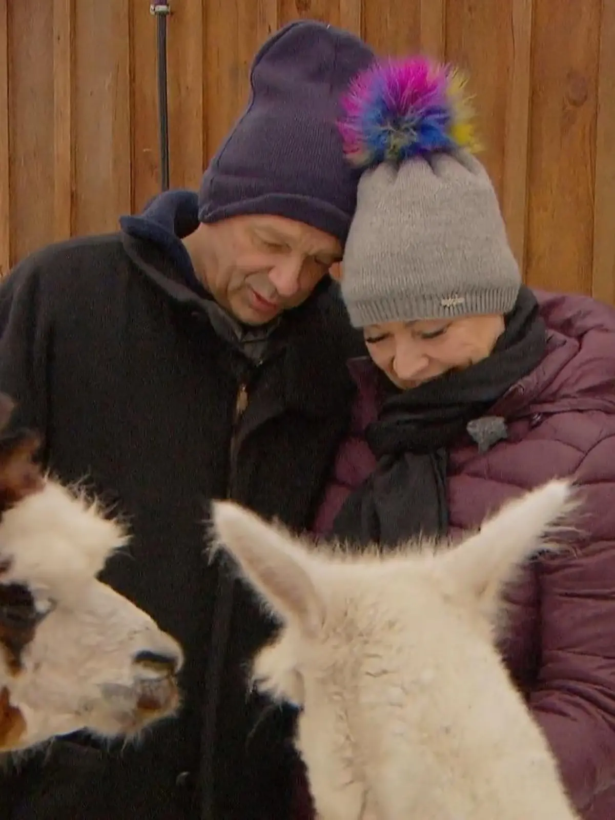 Bild zu: "Johann & Claudia schweben auf Wolke sieben"