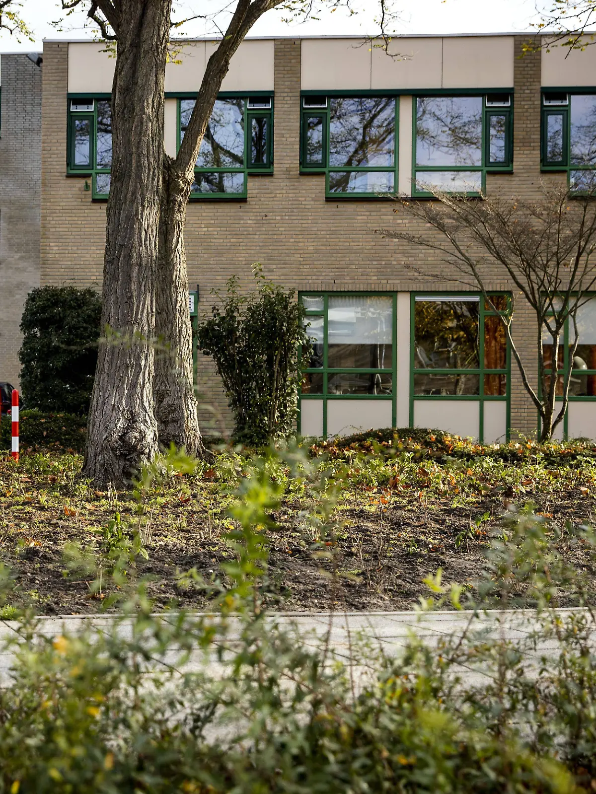 Bild zu: "Zwei Teenager begehen innerhalb weniger Tage Suizid – sie gingen zur selben Schule"