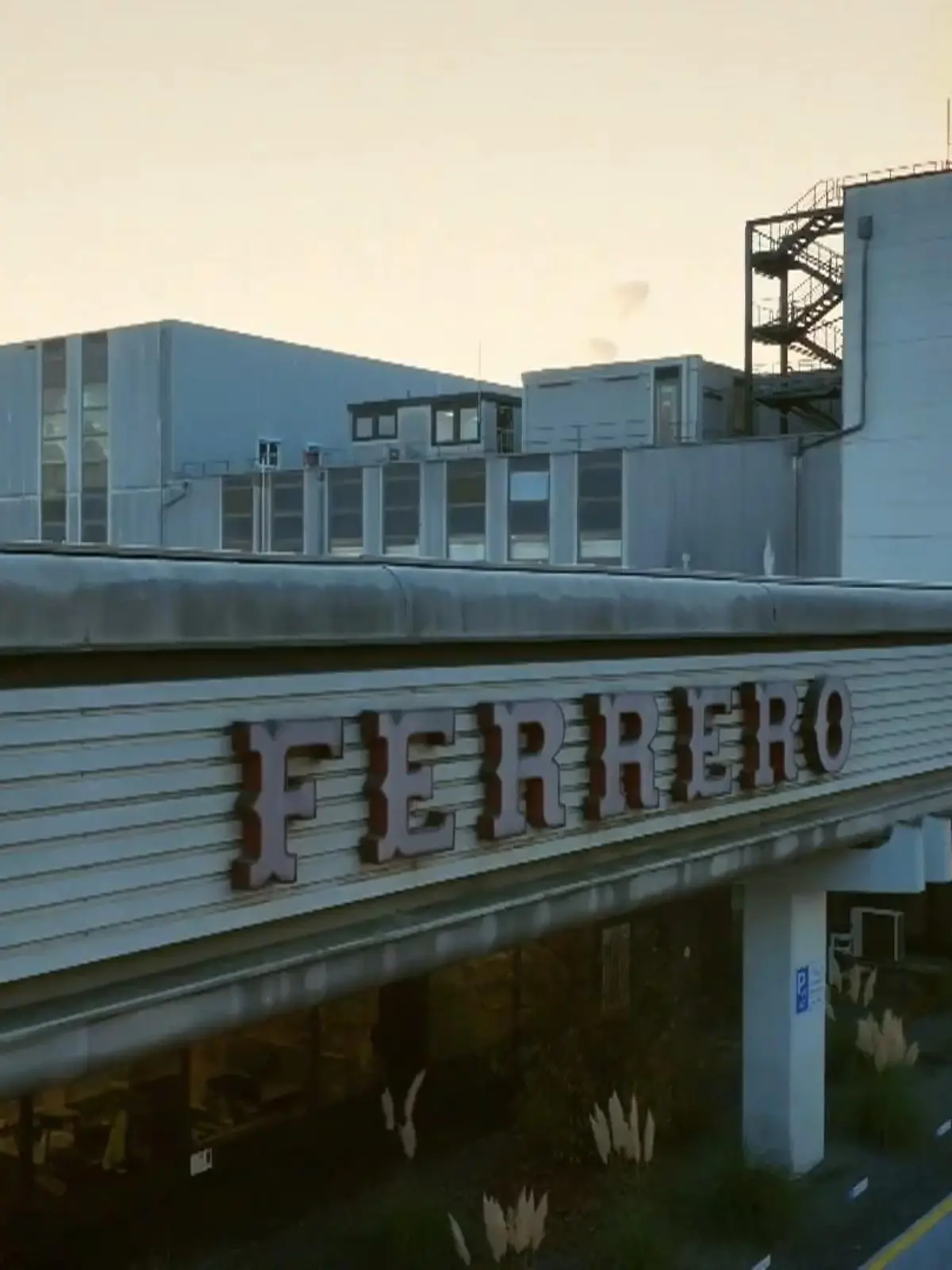 Bild zu: "Wir blicken hinter die Kulissen des Süßwaren-Giganten"