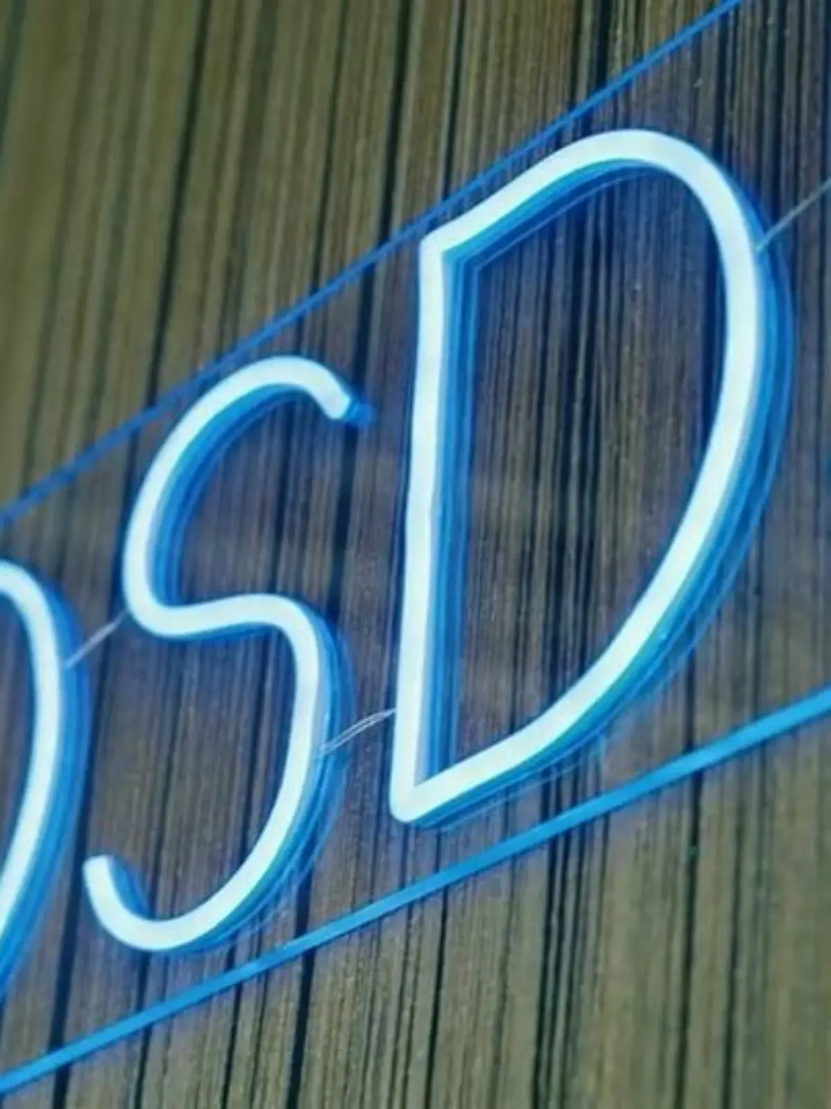 Bild zu: "DSDS-Klassentreffen zum Preview der 22. Staffel"