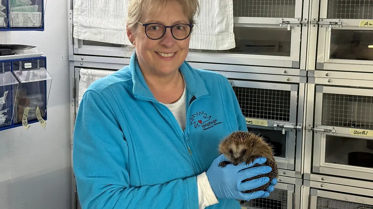Neue Hoffnung für Igel-Dame „Uschi“.