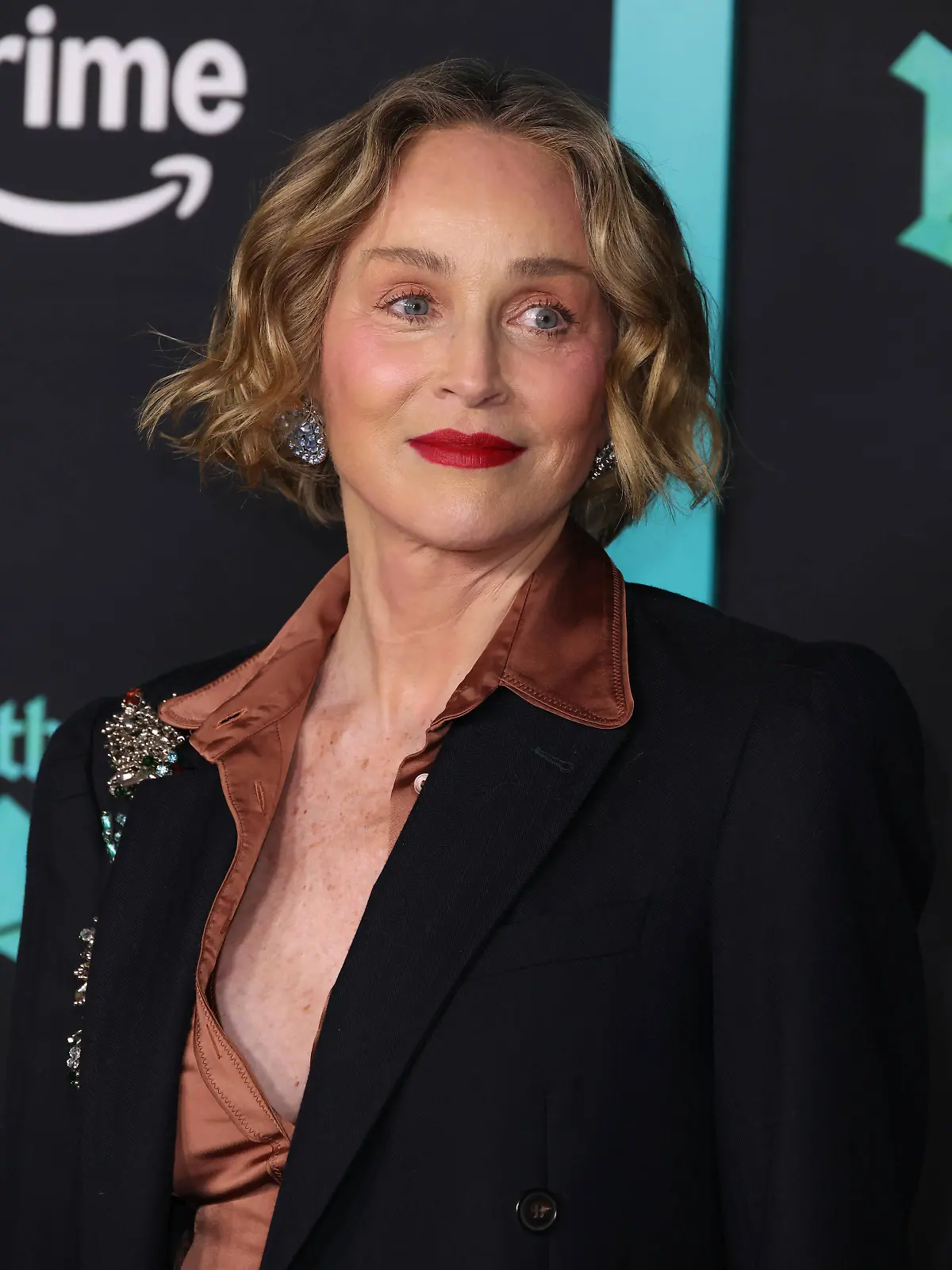 World Premiere Of Amazon Prime Video s The Bluff in Los Angeles, USA, 17 February 2026 Sharon Stone at the World Premiere Of Amazon Prime Video s The Bluff held at the TCL Chinese Theatre IMAX on 17 February 2026 in Hollywood, Los Angeles, California, United States., Credit:Xavier Collin / Avalon United States, California, Los Angeles PUBLICATIONxNOTxINxUKxFRAxUSA Copyright: xXavierxCollinx/xAvalonx 1076091681