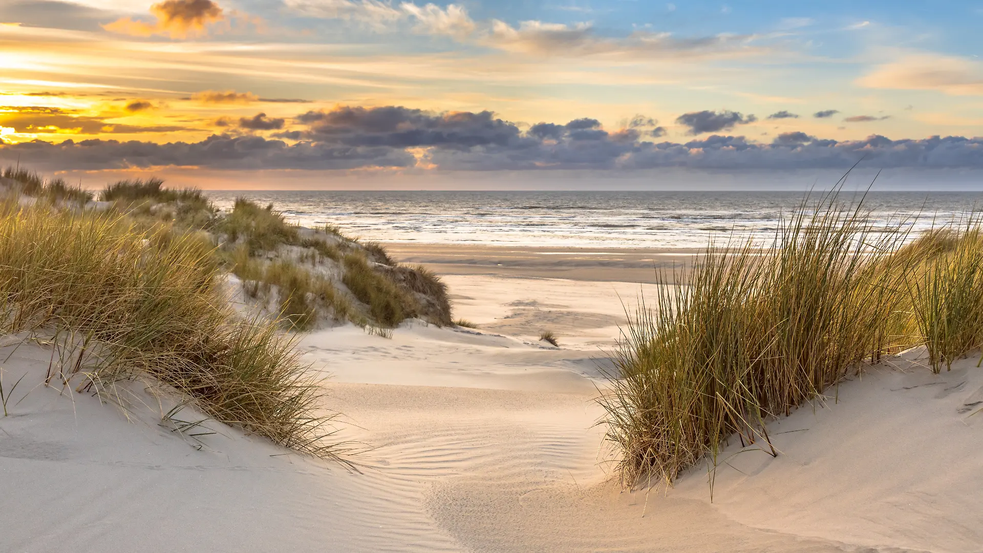 nj vb fr+ Dünen, Insel Ameland, Friesland, Sonnenuntergang