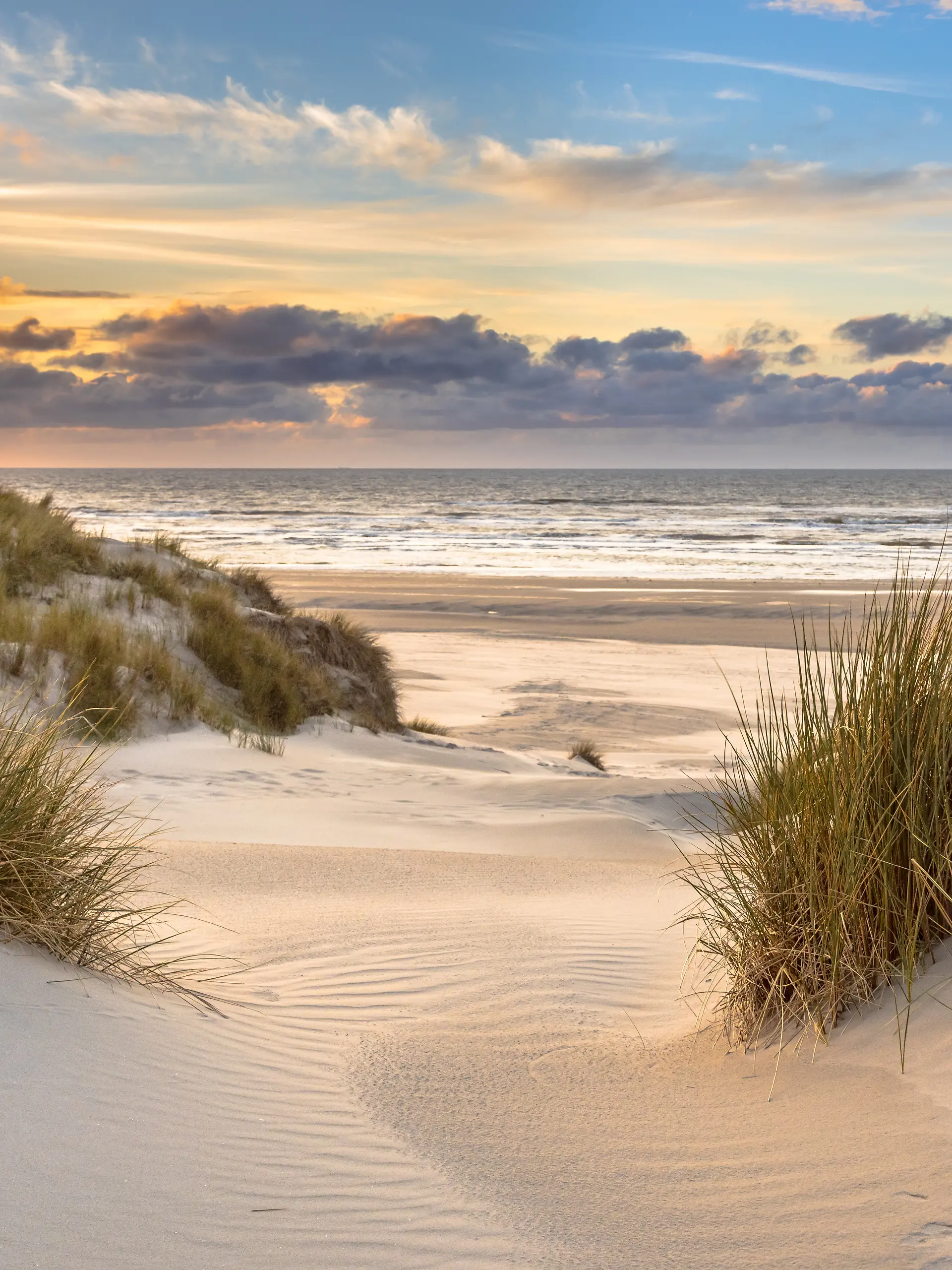 nj vb fr+ Dünen, Insel Ameland, Friesland, Sonnenuntergang