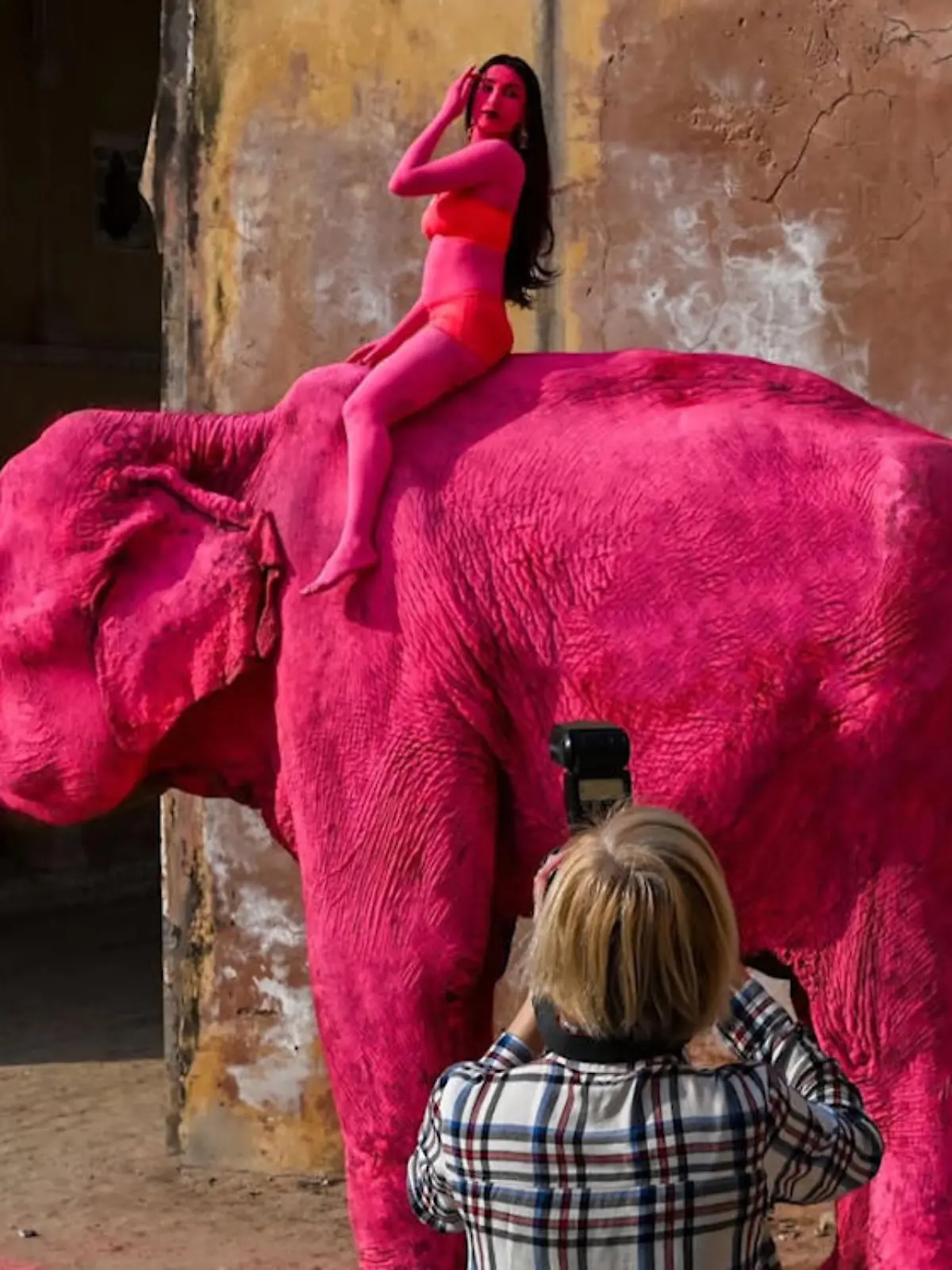 Bild zu: "Pinker Elefant stirbt nach Kunstaktion in Indien! Fotografin bekommt Todesdrohungen"