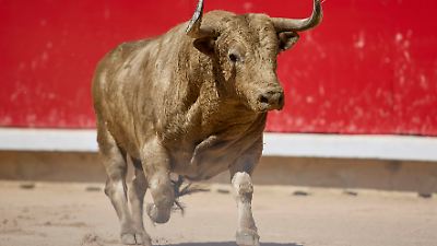 Ricardo Ortiz: Stier tötet Ex-Matador beim Entladen in Málaga in Spanien