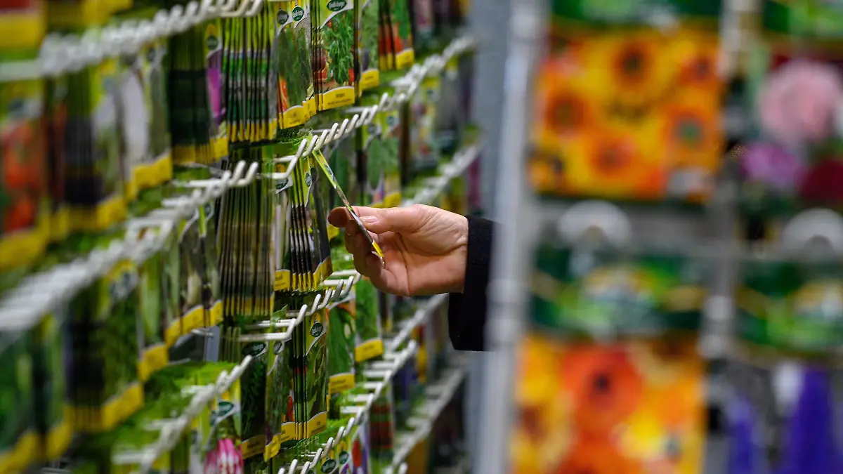 Die Qual der Wahl: Samentütchen verlocken, doch nicht alles passt am Ende in den Garten.