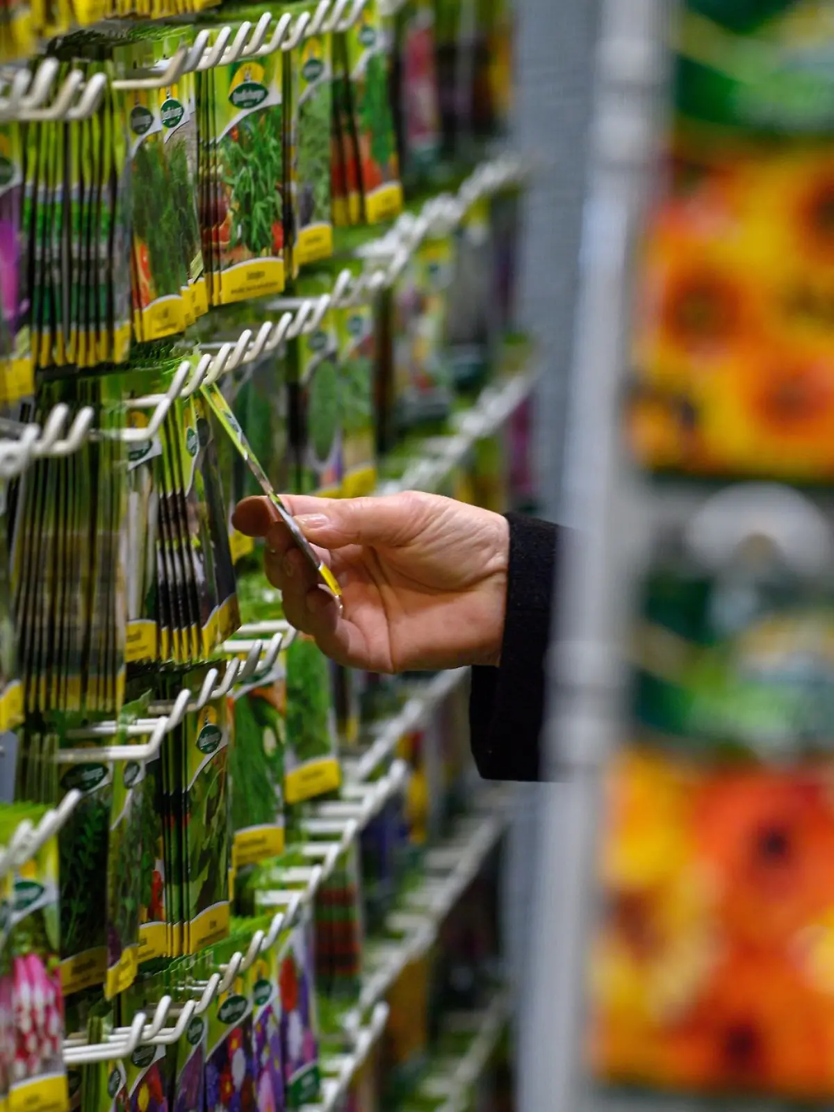 Die Qual der Wahl: Samentütchen verlocken, doch nicht alles passt am Ende in den Garten.
