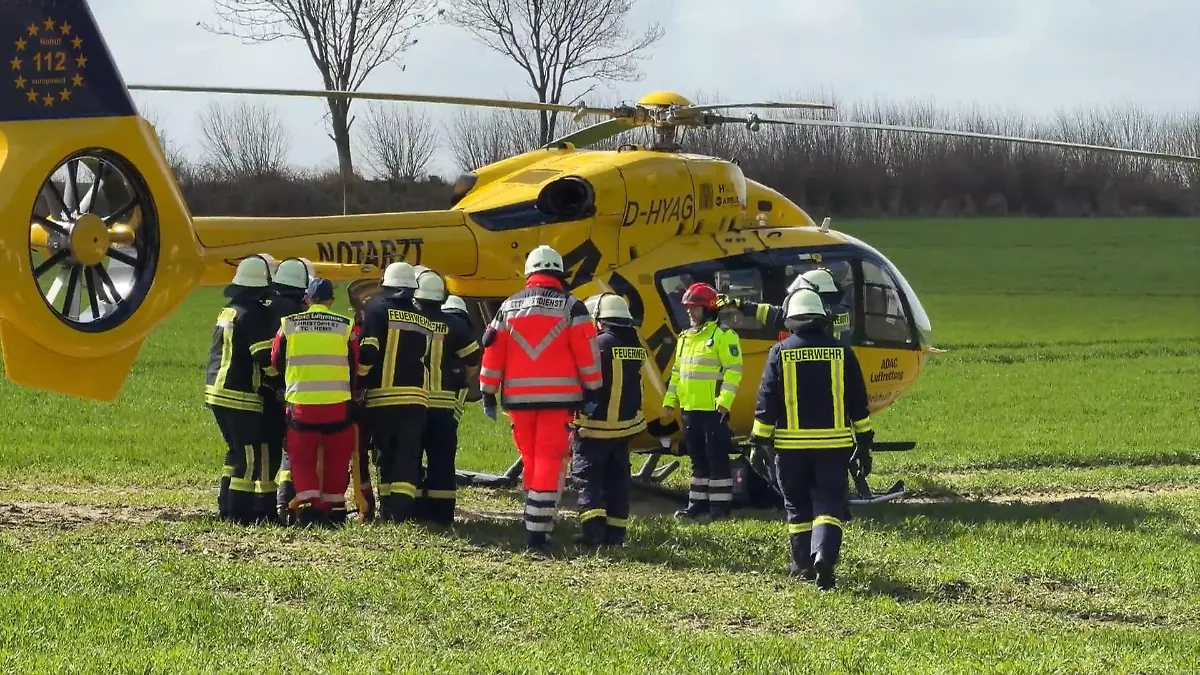 Baum stürzt um! Drei Menschen sterben bei Ostereiersuche in Flensburg – darunter ein Baby 50 Menschen waren auf Osterausflug