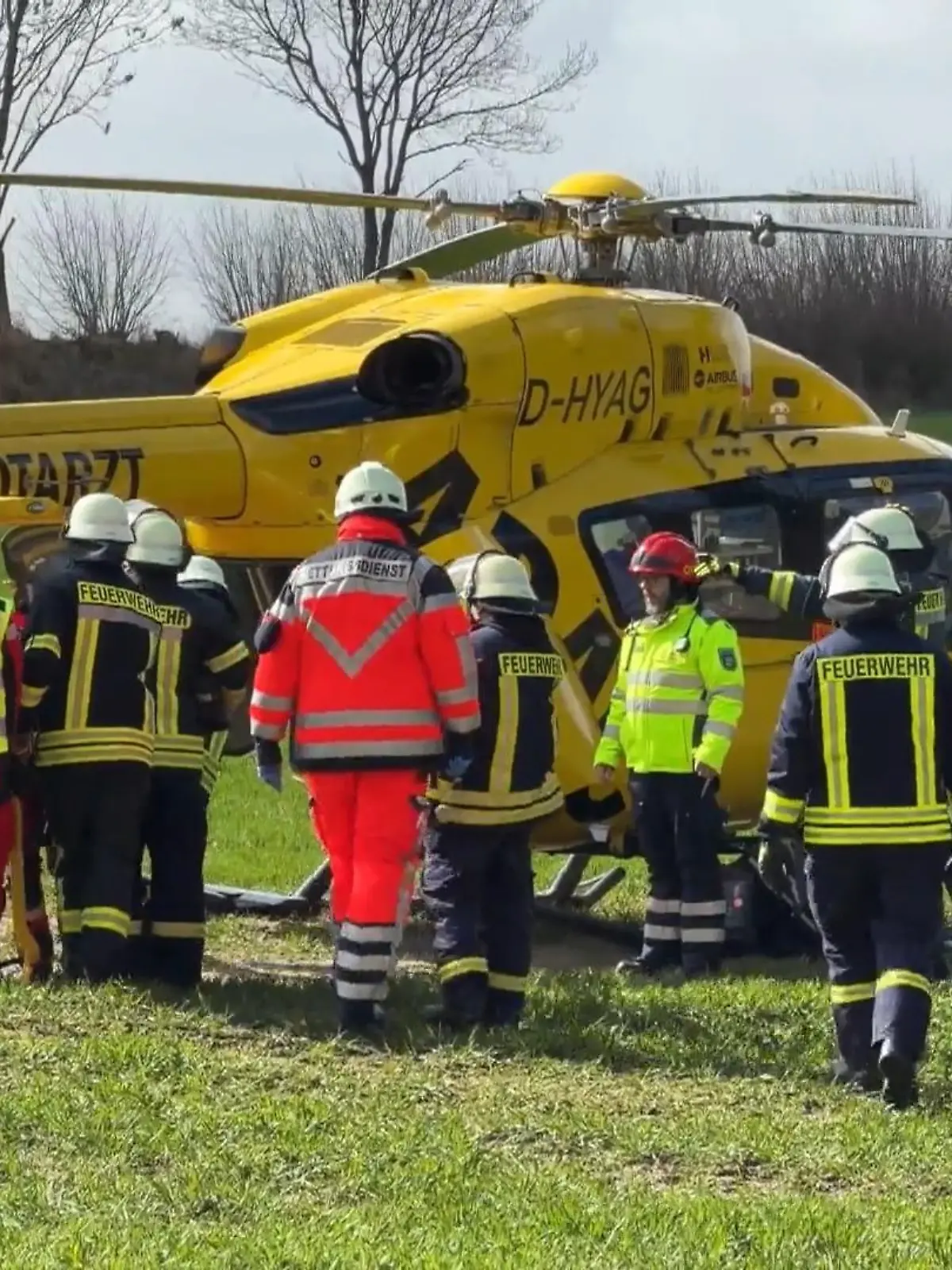 Bild zu: "Baum stürzt um! Drei Menschen sterben bei Ostereiersuche in Flensburg – darunter ein Baby"