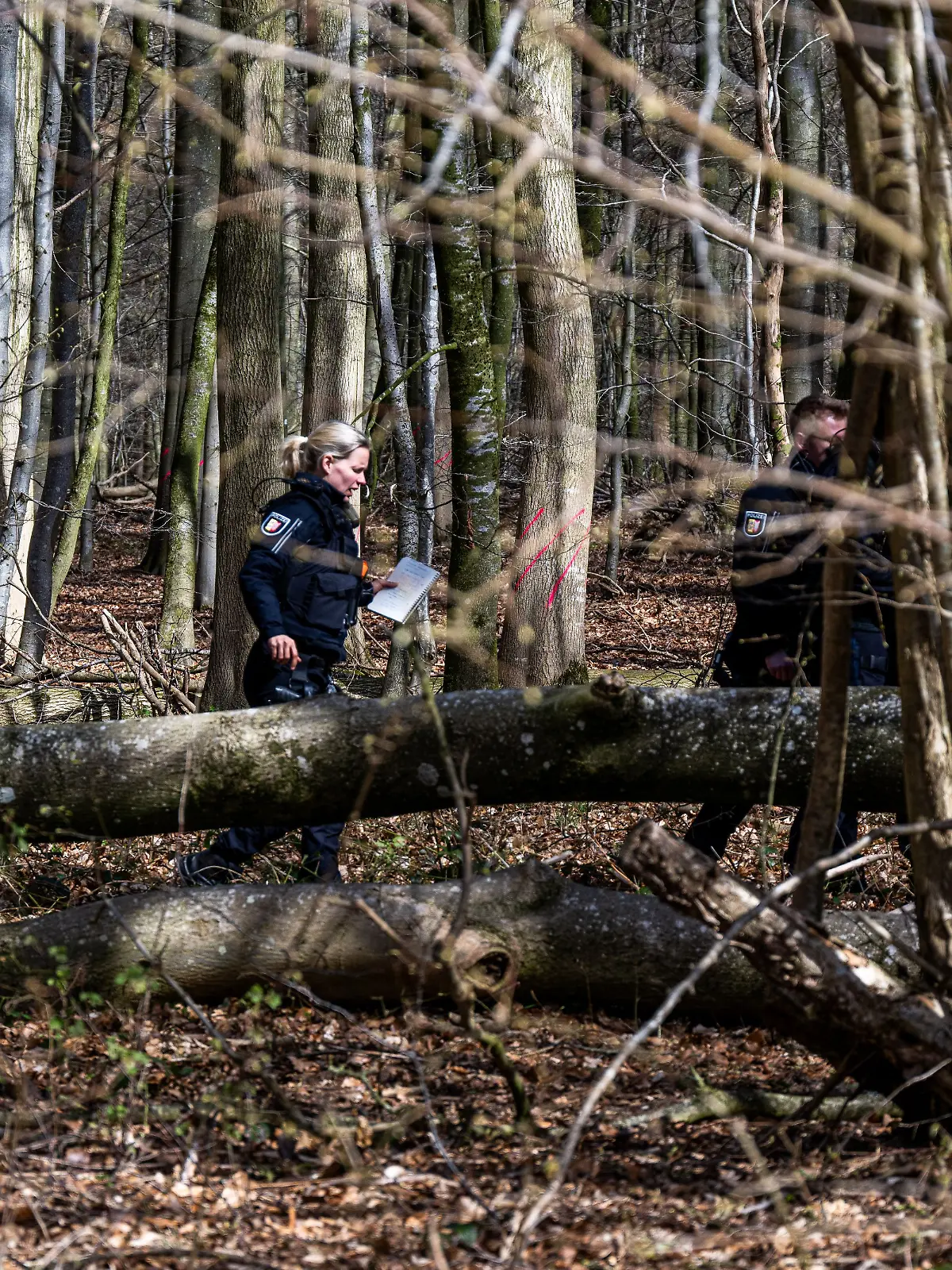 Baum umgestürzt - Drei Tote bei Flensburg