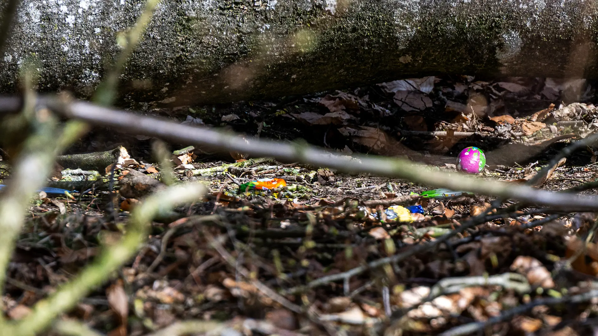 Bei einem Unglück in einem Waldstück südöstlich von Flensburg sind am Ostersonntag drei Menschen ums Leben gekommen, darunter eine Mutter und ihr Baby.