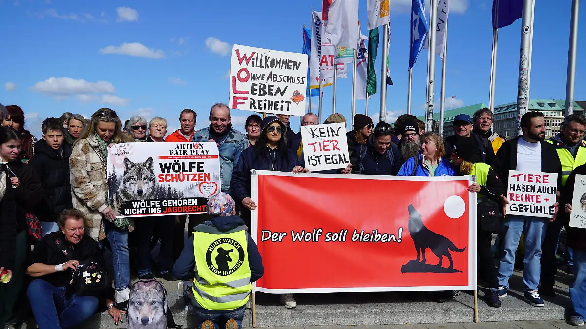 Freiheit für den Wolf - Ca. 100 Menschen demonstrieren für den in Hamburg eingefangenen Wolf / 050426
