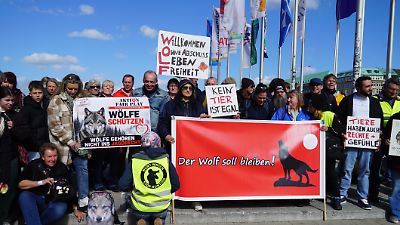 Wolf-Angriff in Hamburg: Lasst ihn frei! Mahnwache fordert Freilassung