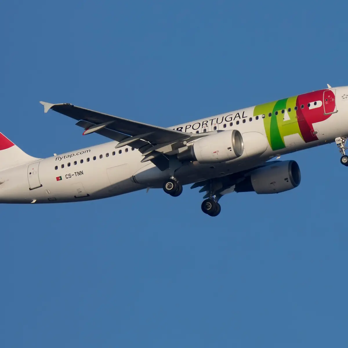 elfbar elfa master akku E-Zigarette im Flugzeug – diese Regeln gelten main image 0