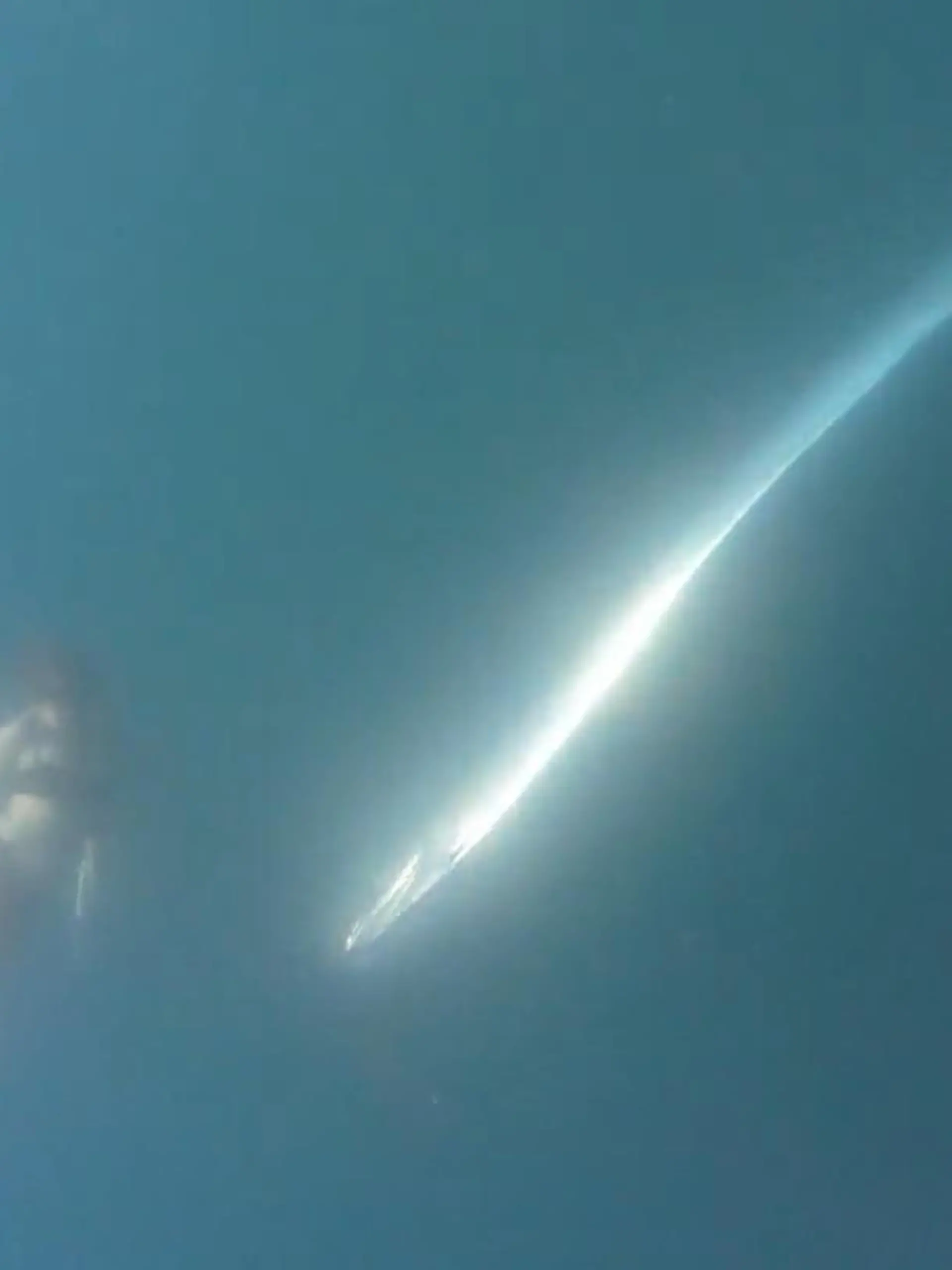 Bild zu: "Seltene Begegnung! XXL-Unheilsfisch schwimmt plötzlich neben Taucherin"