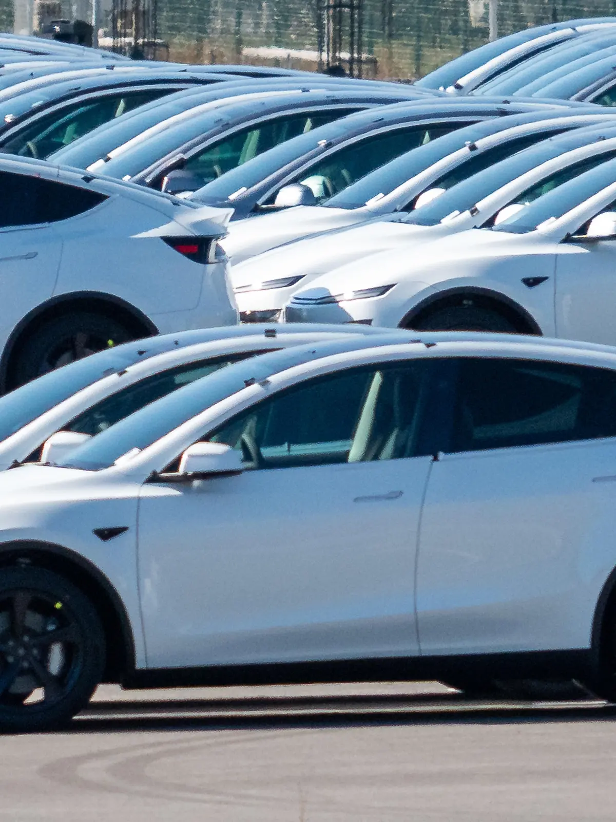 Tesla-Gigafactory in Grünheide: Zahlreiche frisch produzierte Model Y Fahrzeuge stehen eng aneinandergereiht auf dem Auslieferungsparkplatz des Werks.