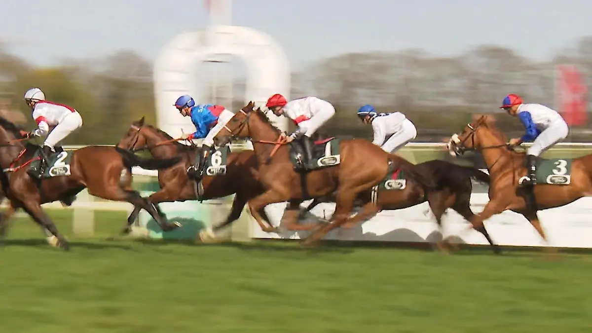 FC-Renntag in Köln Fußball und Pferderennen