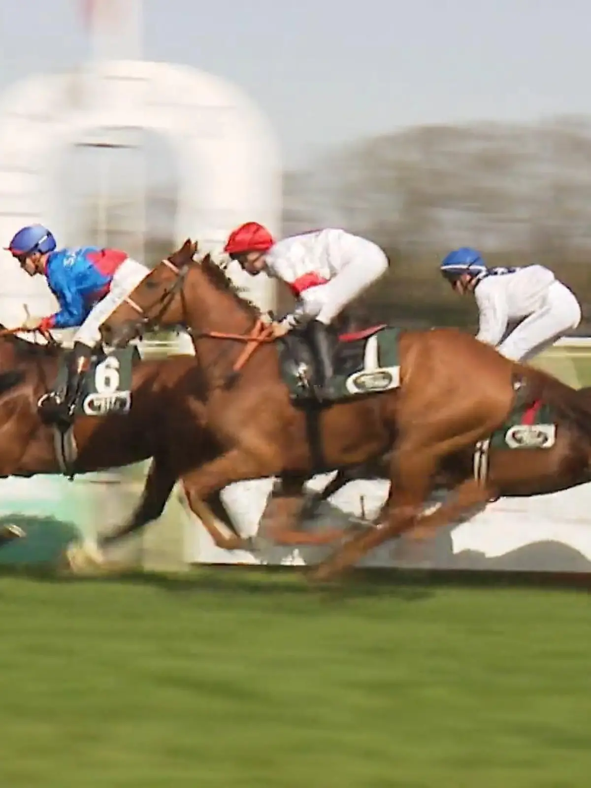 Bild zu: "FC-Renntag in Köln"