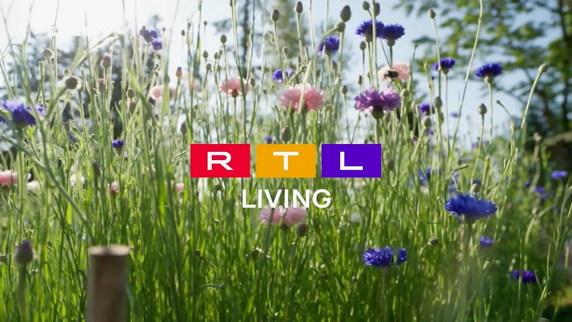 Bild von Frühlingsgefühle bei RTL Living