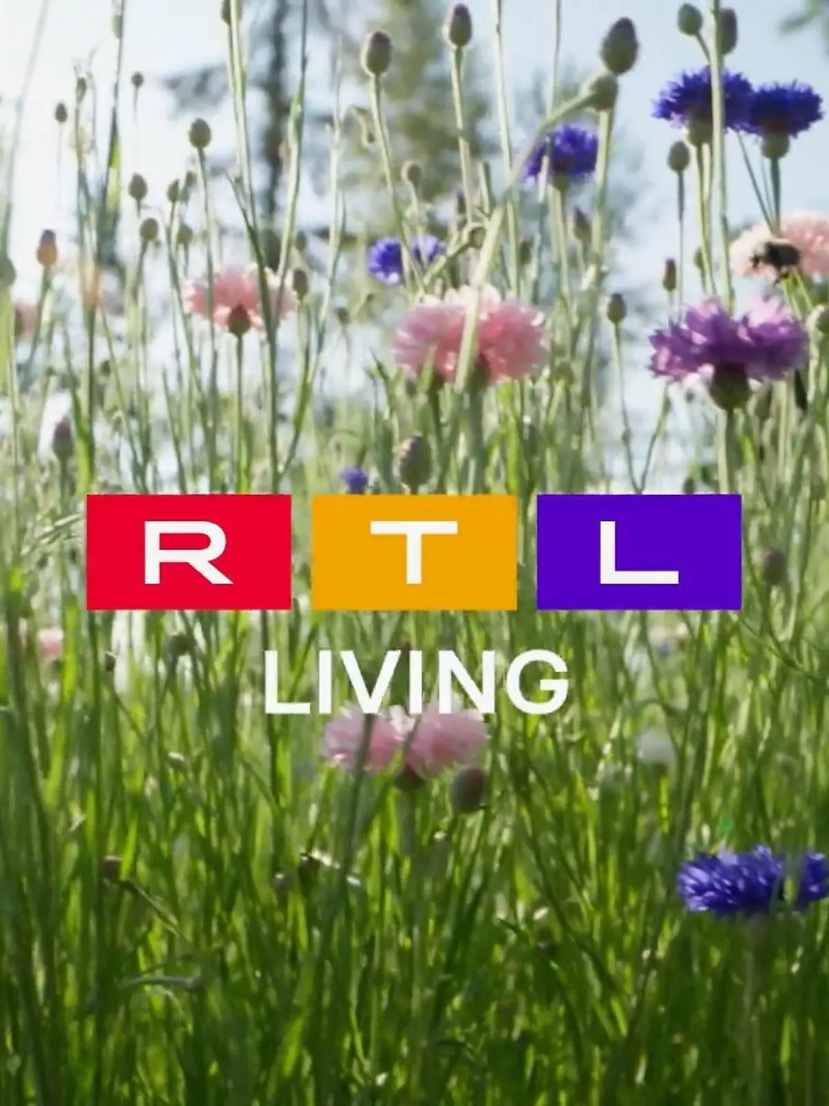 Bild zu: "Frühlingsgefühle bei RTL Living"