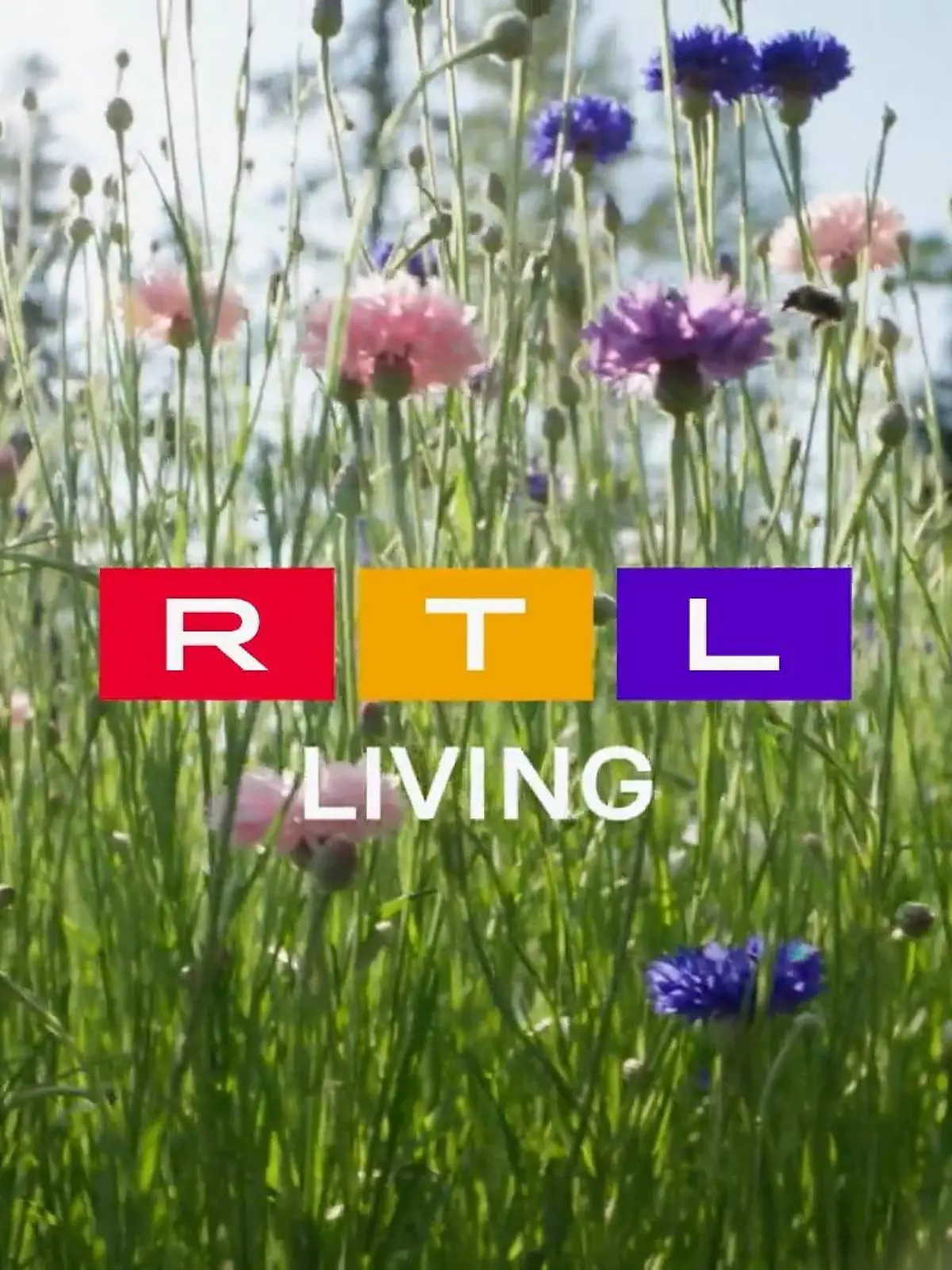 Bild zu: "Frühlingsgefühle bei RTL Living"
