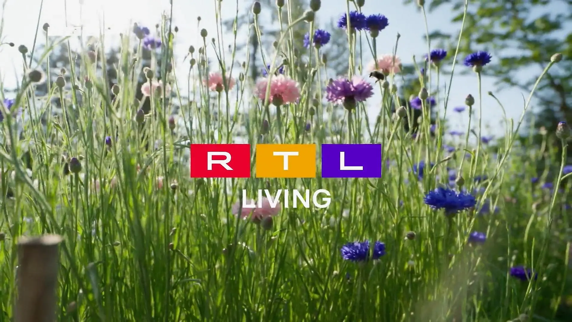 Frühlingsgefühle bei RTL Living So schmeckt der Frühling