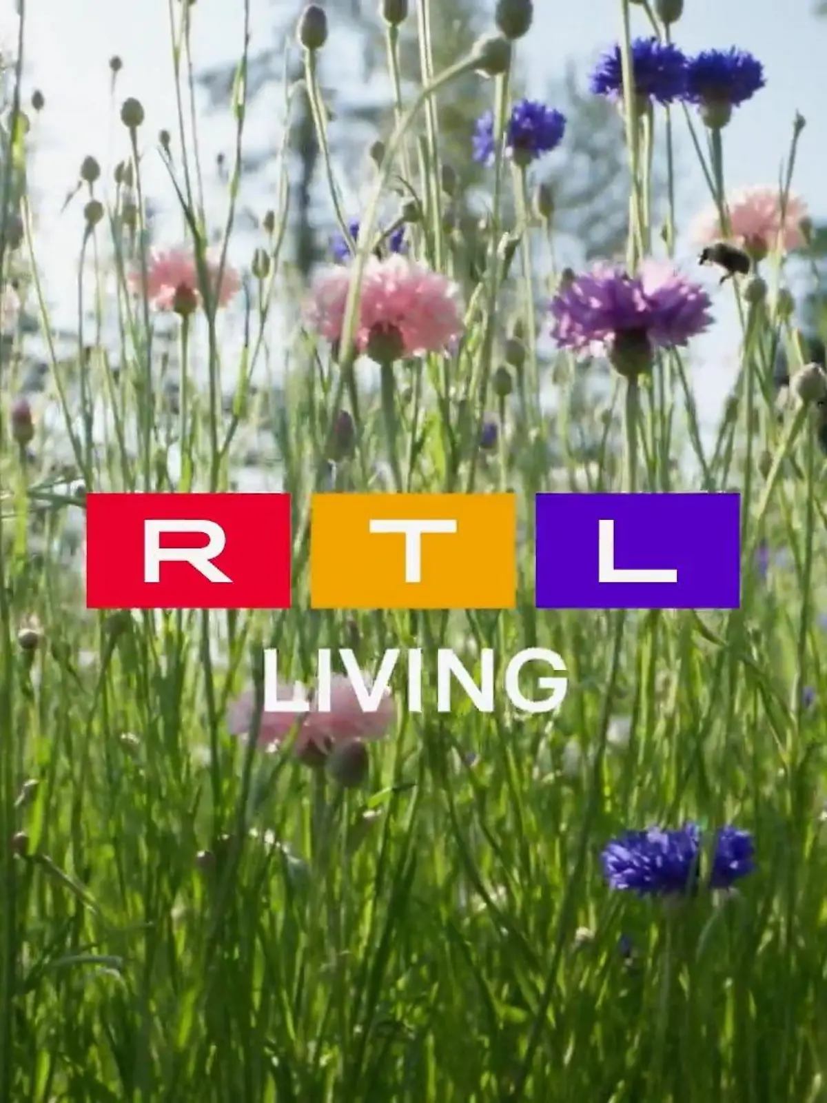 Bild zu: "Frühlingsgefühle bei RTL Living"