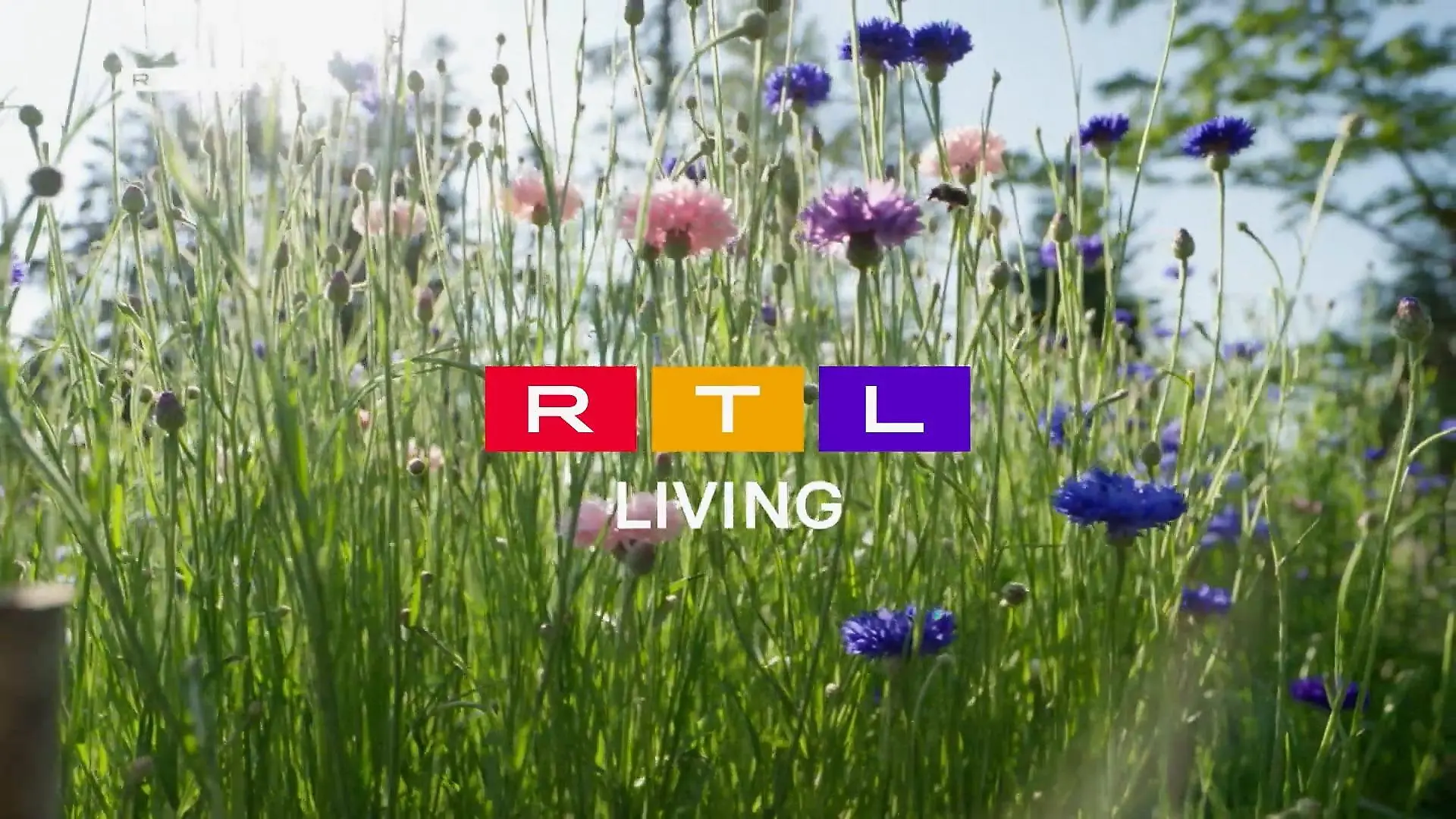 So schmeckt der Frühling Frühlingsgefühle bei RTL Living