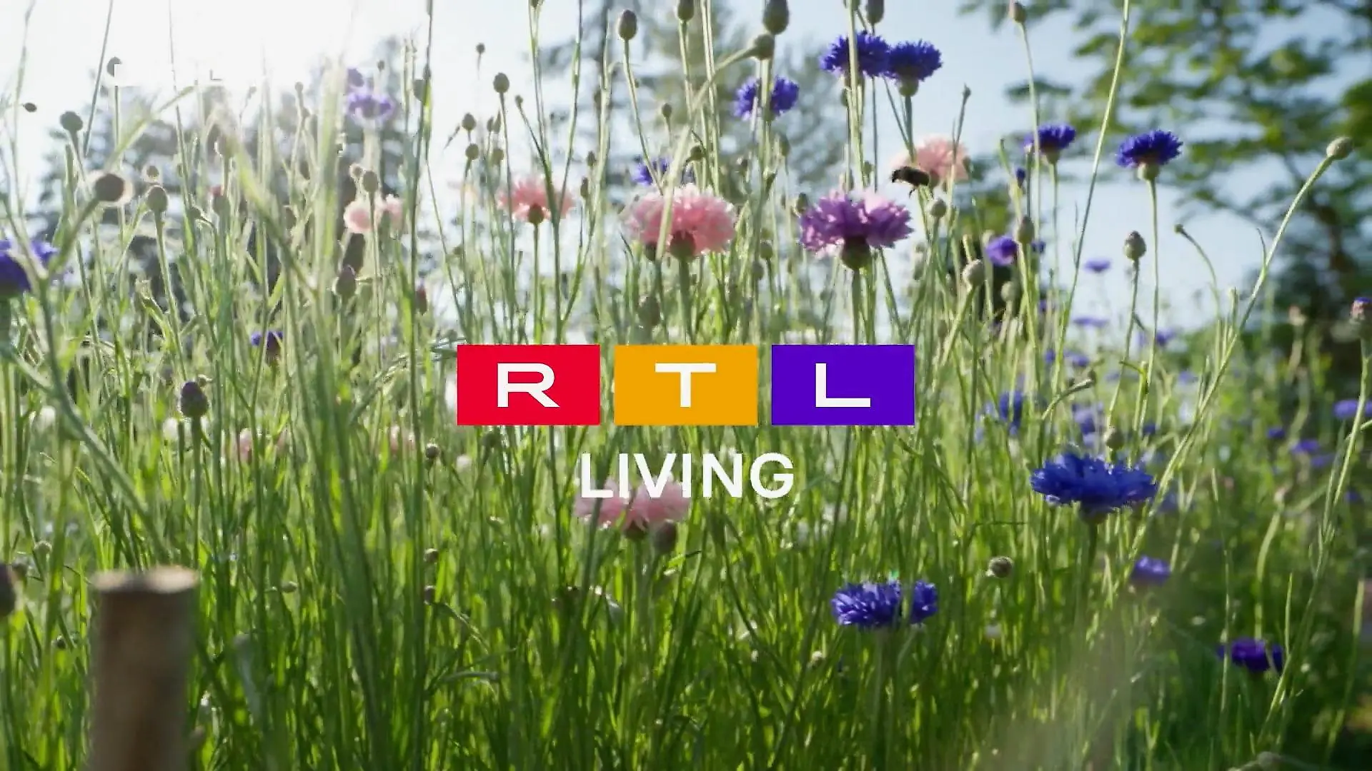 Frühlingsgefühle bei RTL Living So schmeckt der Frühling
