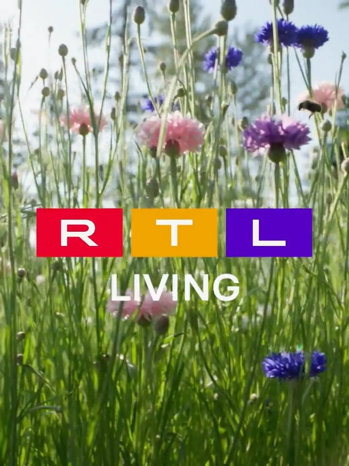 Bild zu: "Frühlingsgefühle bei RTL Living"