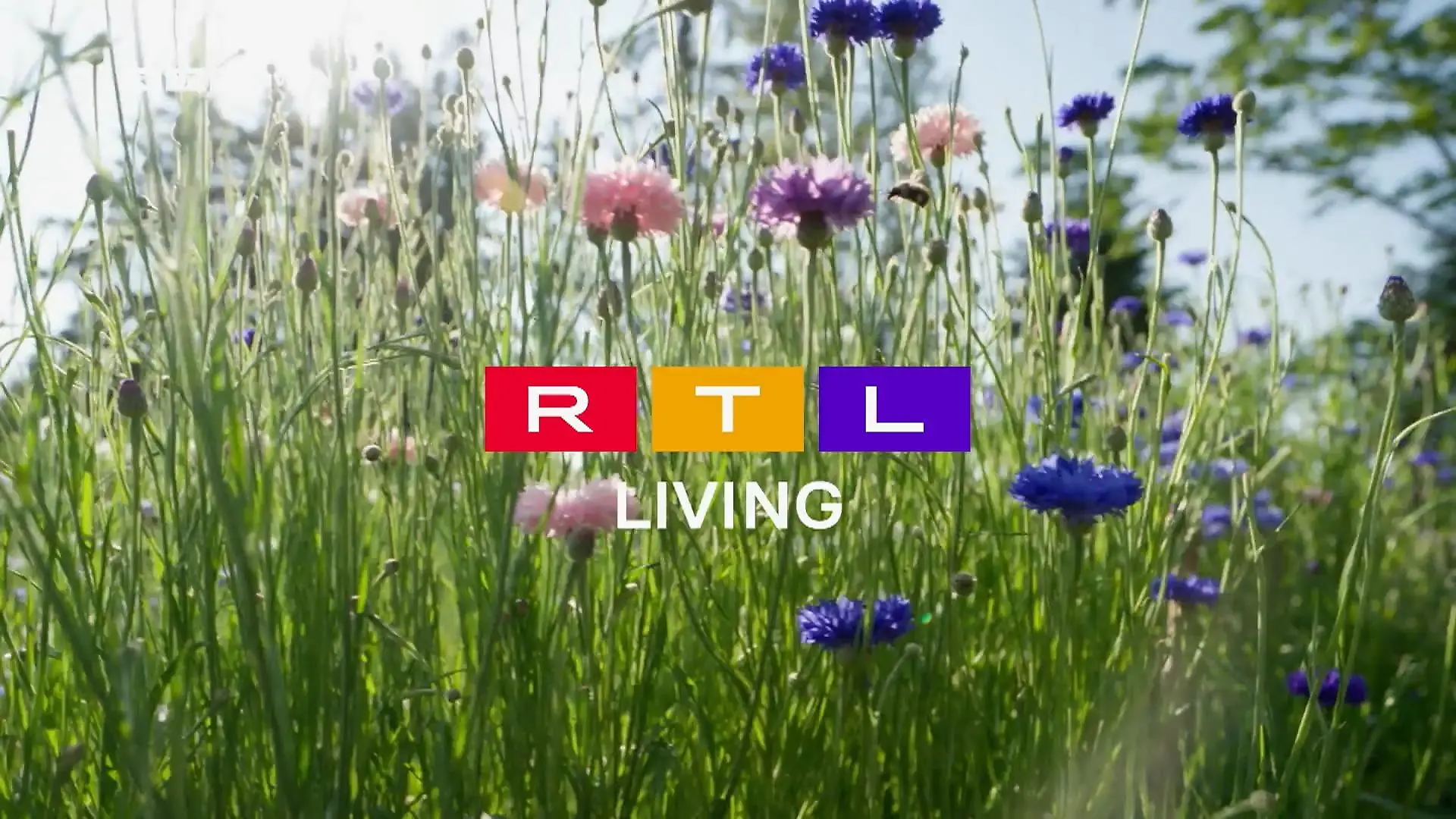Frühlingsgefühle bei RTL Living So schmeckt der Frühling