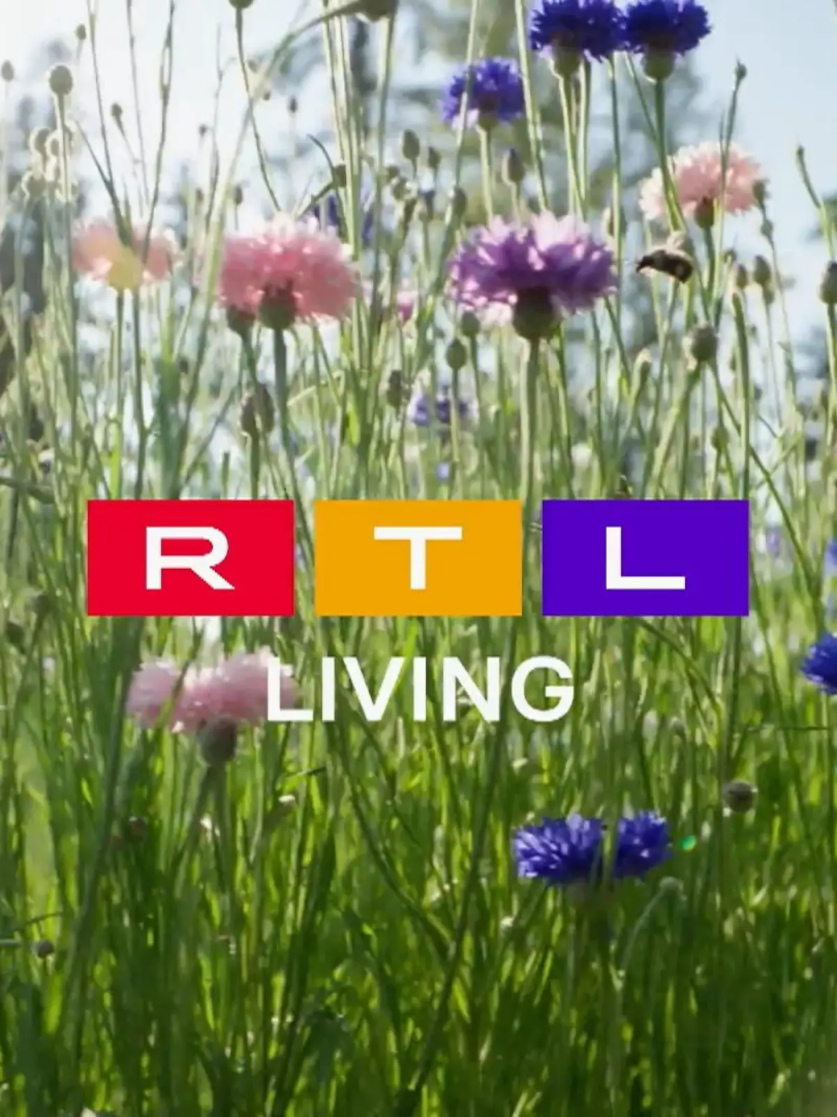 Bild zu: "Frühlingsgefühle bei RTL Living"