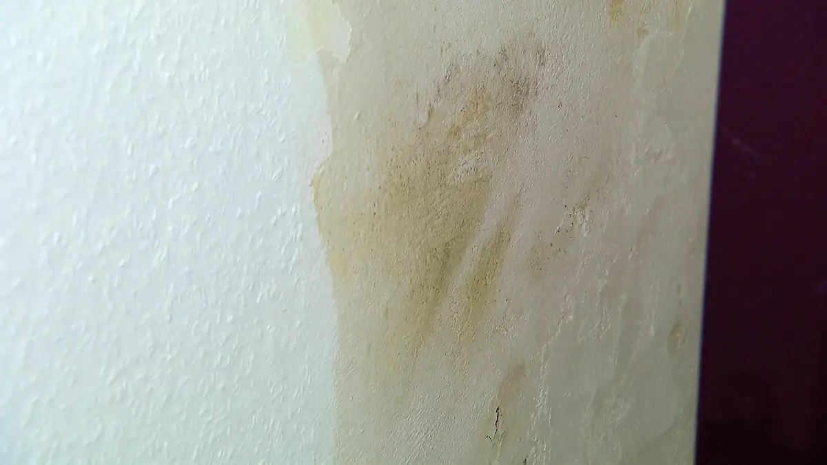 Schimmel überall! Familie Antoni lebt im absoluten Horrorhaus in Oberhausen „Da war alles schwarz“