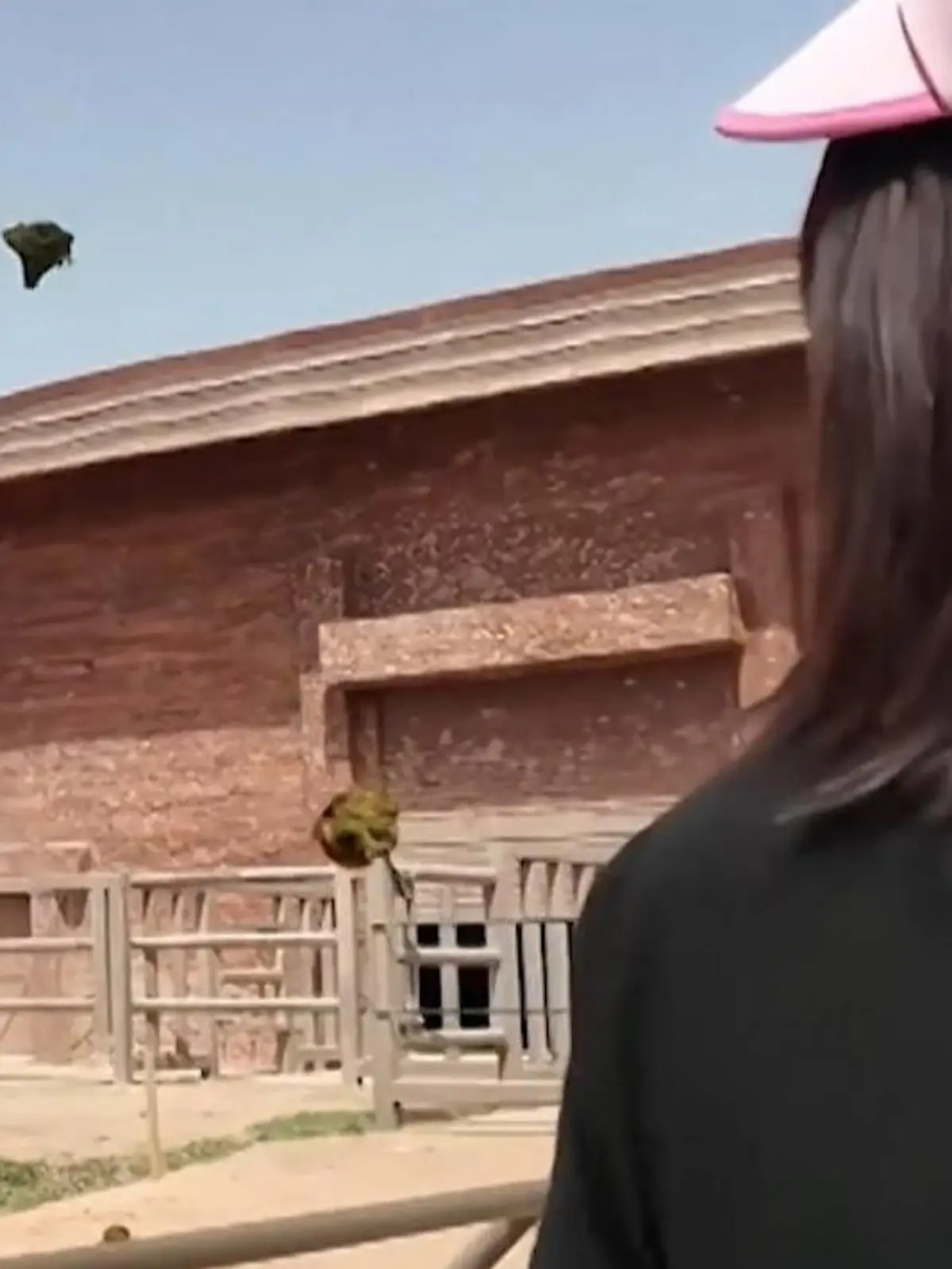 Bild zu: "Elefant bewirft Besucher mit seiner Kacke – weil er DAS schei** findet!"