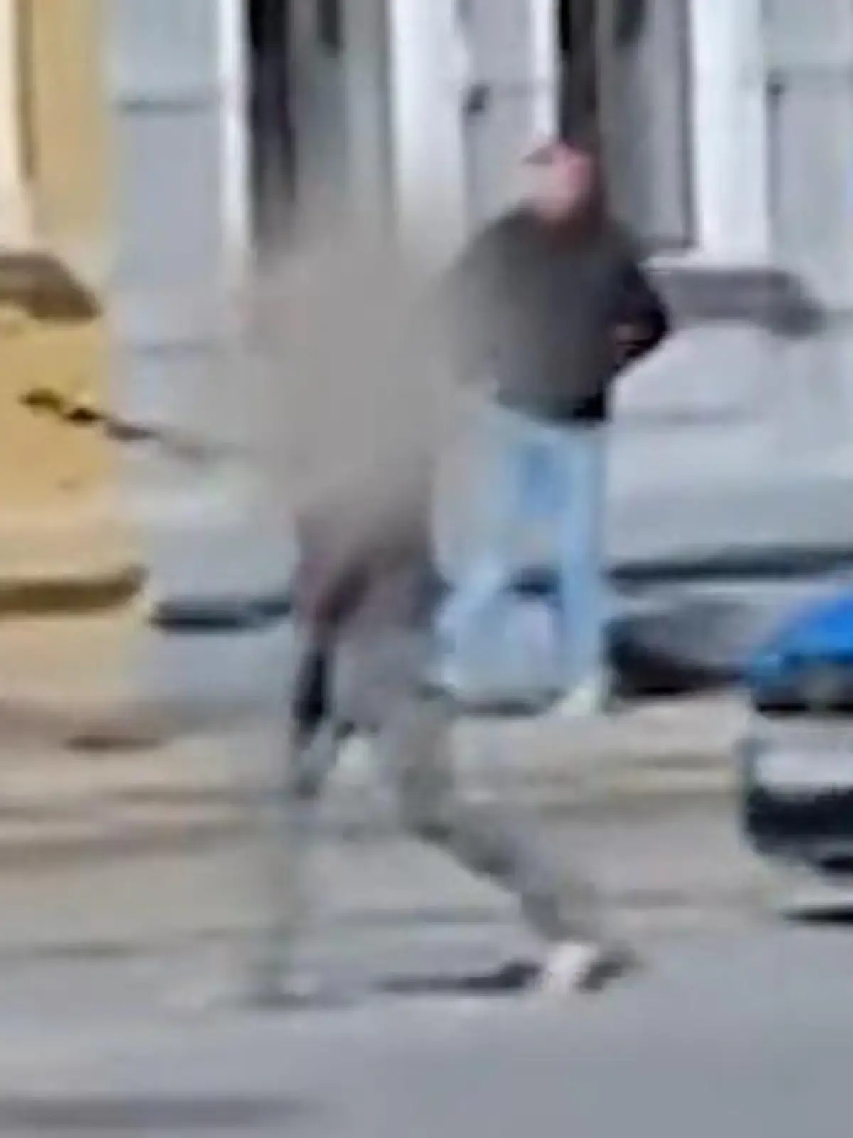 Bild zu: "Polizei überwältigt Macheten-Mann in Görlitzer Innenstadt"