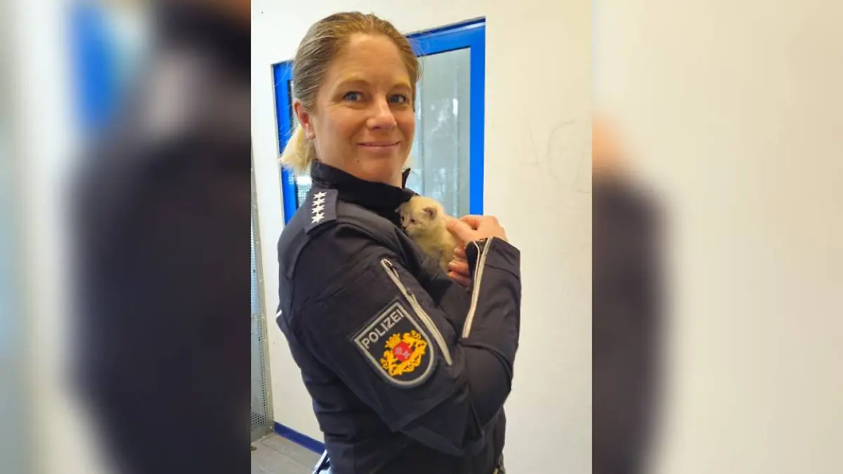 Bevor es ins Tierheim ging, musste auf dem Polizeirevier einmal gekuschelt werden.