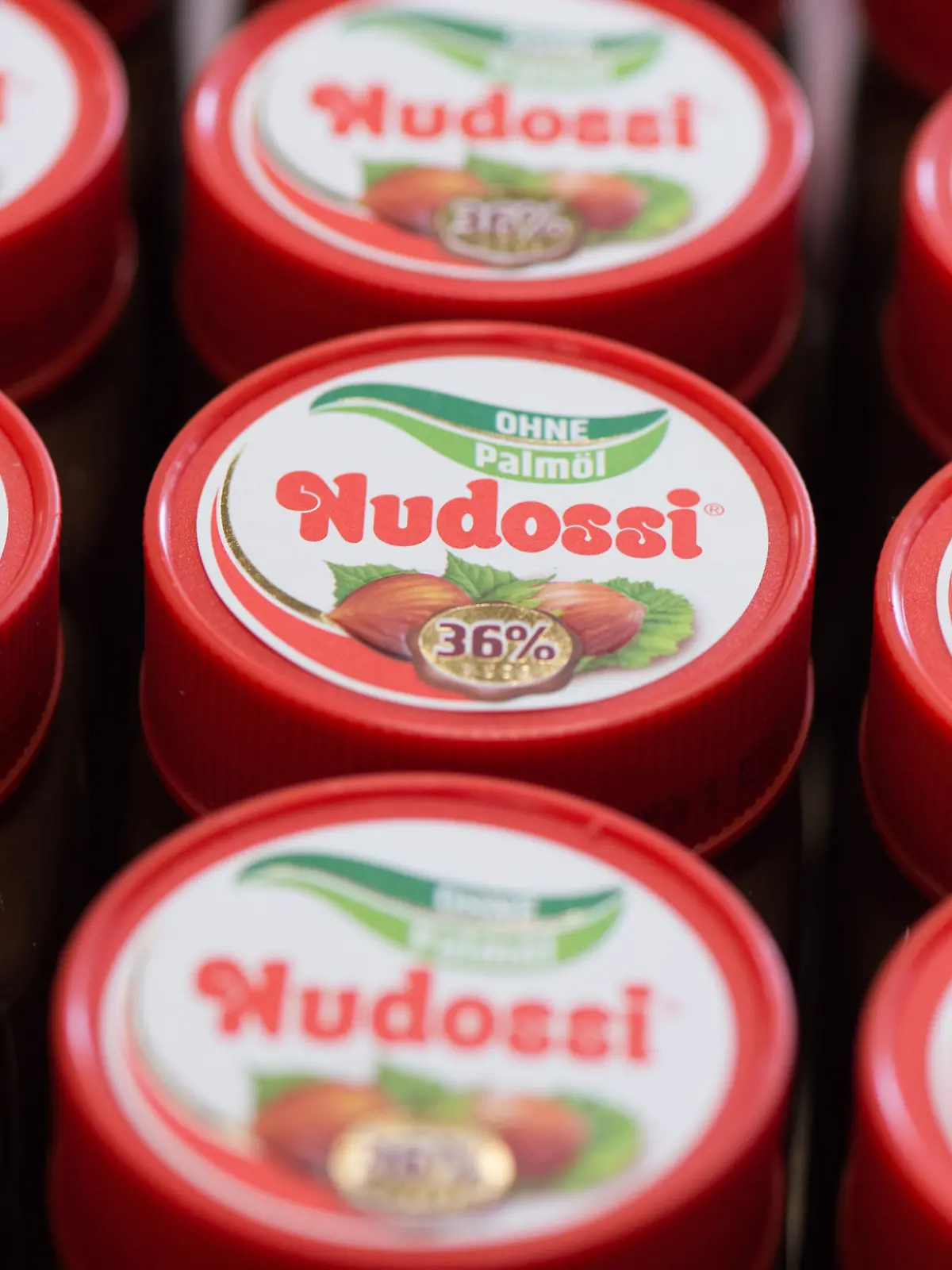 Gläser mit dem Haselnussaufstrich Nudossi ohne Palmöl stehen am 26.04.2017 in Radebeul (Sachsen) am Rande eine Pressekonferenz auf einem Tisch. Die Sächsische und Dresdner Back- und Süßwaren GmbH & Co. KG aus dem sächsischen Radebeul stellt am gleichen Tag eine Nuss-Nougat-Creme ohne Palmöl vor. Foto: Sebastian Kahnert/dpa-Zentralbild/ZB