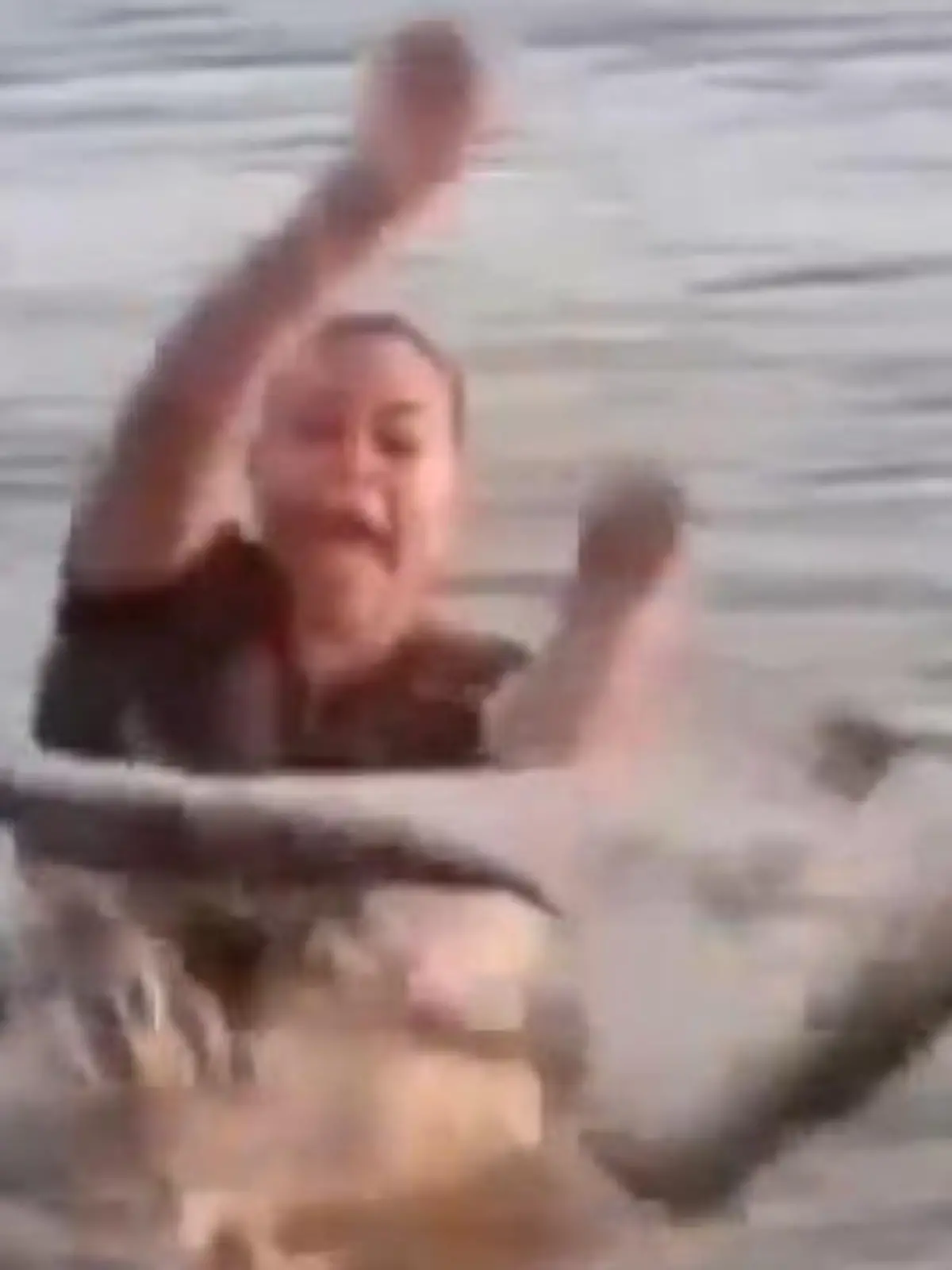 Bild zu: "Krokodil statt Treibholz! Frau hält plötzlich Reptil in den Händen"