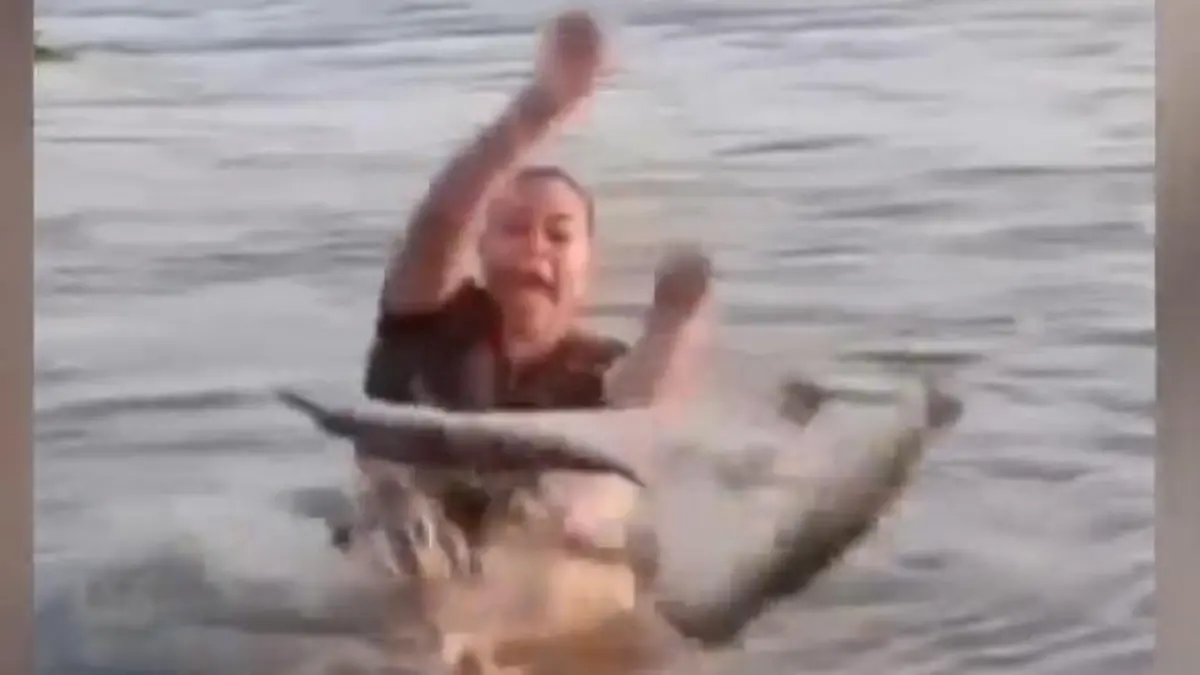 Krokodil statt Treibholz! Frau hält plötzlich Reptil in den Händen Schock bei Badeausflug