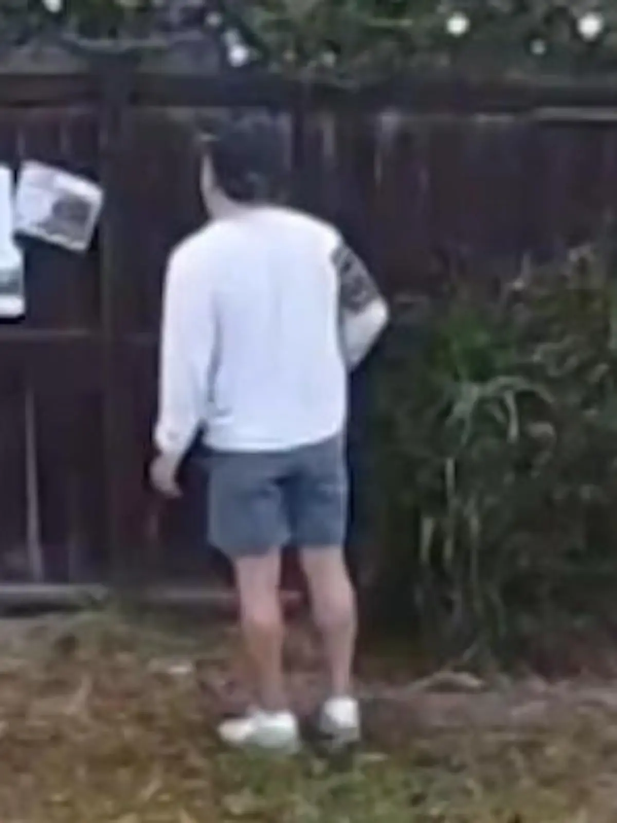 Bild zu: "Nachbarin entlarvt Pinkel-Proll mit Peinlich-Fotos – SO rächt sich sein Vater!"