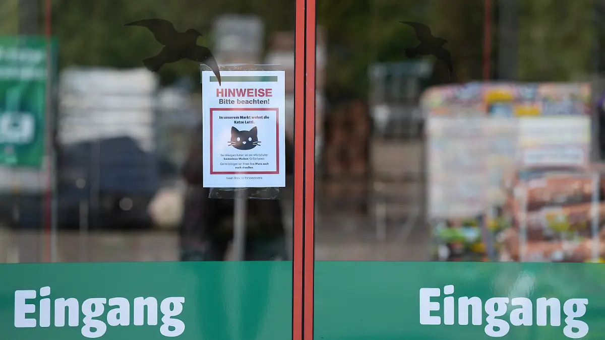 Ein Schild im Eingangsbereich weist auf Katze „Lotti” im Baumarkt hin.