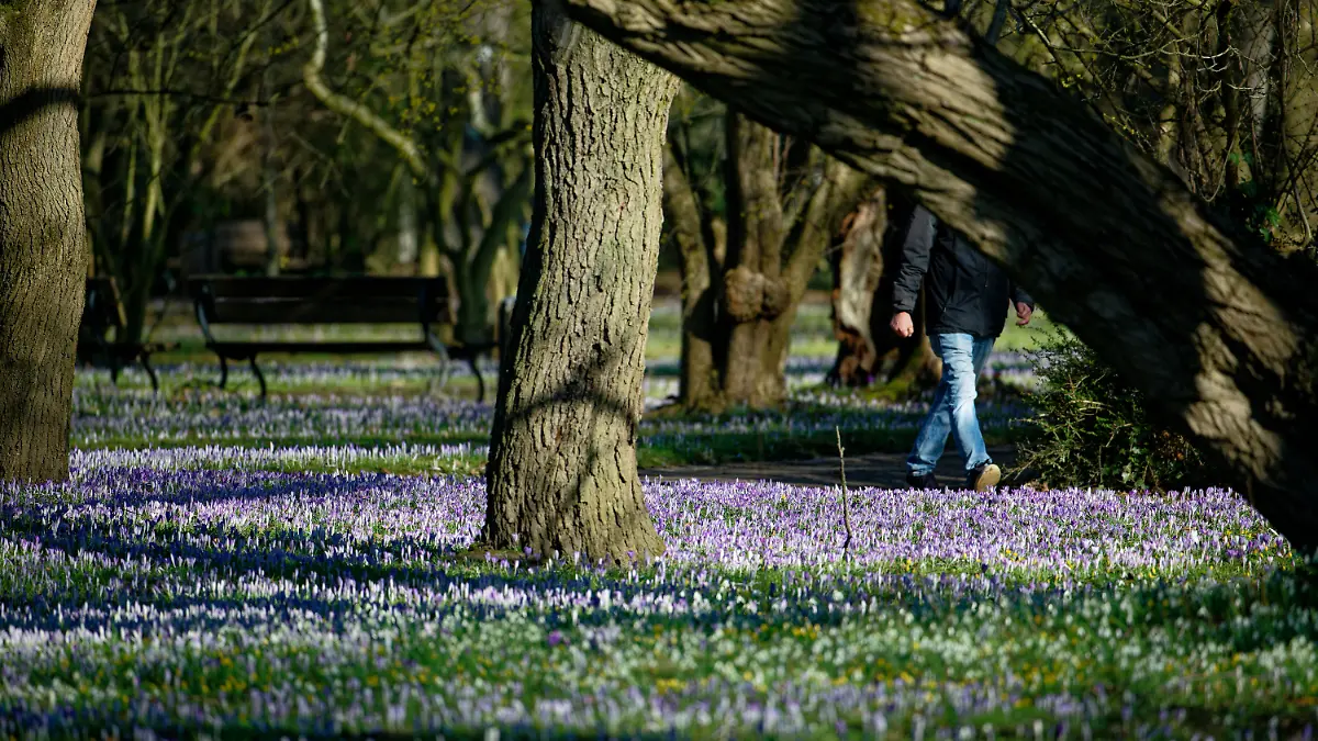 Im Stadtgarten Pulheim kam es zu einer tödlichen Auseinandersetzung.