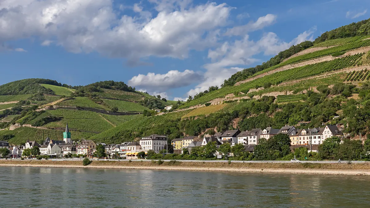 In Rüdesheim wurde zunächst ein E-Scooter und dann eine Leiche am Rheinufer entdeckt.