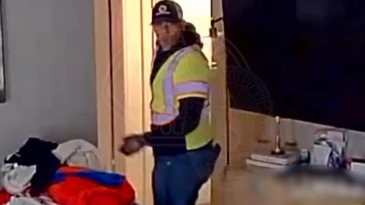 Schock-Einbruch! Verkleideter Mann macht fette Luxus-Beute – trotz Hund in der Wohnung Handtaschen von Louis Vuitton und Gucci